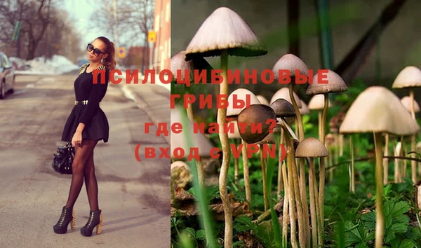 Альфа ПВП Алексеевка