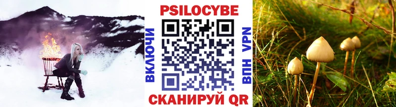 omg зеркало  Собинка  Галлюциногенные грибы Cubensis 